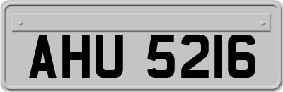 AHU5216