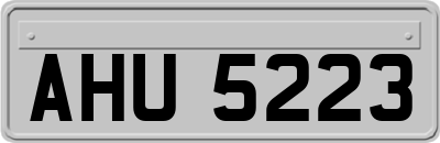 AHU5223