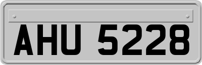 AHU5228