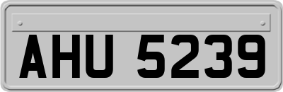 AHU5239