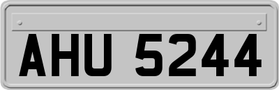 AHU5244