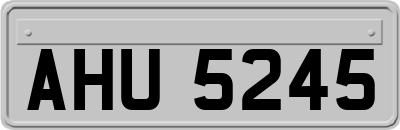 AHU5245