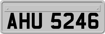 AHU5246