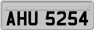 AHU5254