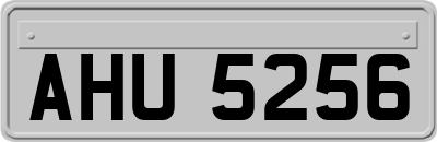 AHU5256