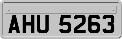 AHU5263
