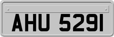 AHU5291