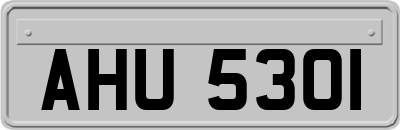 AHU5301