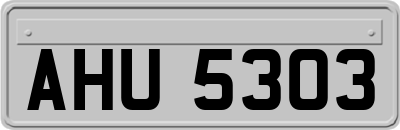 AHU5303