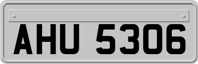AHU5306