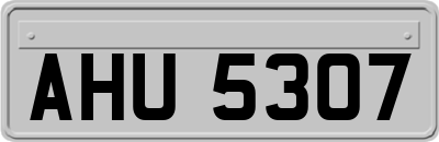 AHU5307