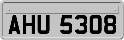AHU5308