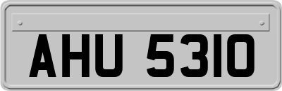 AHU5310