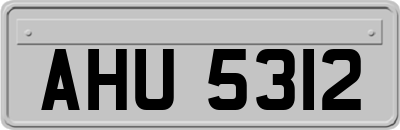 AHU5312