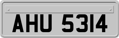 AHU5314
