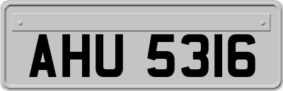 AHU5316