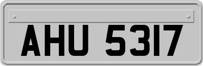 AHU5317