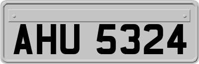 AHU5324