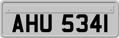 AHU5341