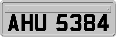 AHU5384