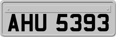 AHU5393