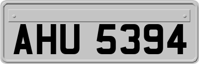 AHU5394