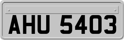 AHU5403