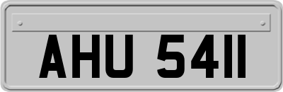 AHU5411