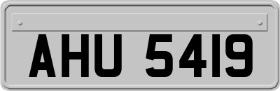 AHU5419