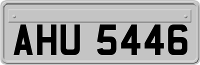 AHU5446