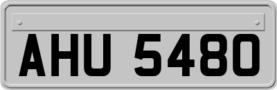 AHU5480