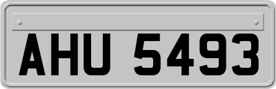 AHU5493