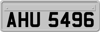 AHU5496