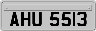 AHU5513