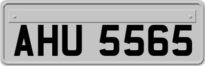 AHU5565