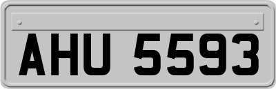 AHU5593