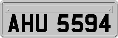 AHU5594