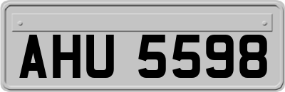 AHU5598