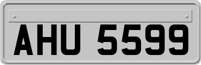 AHU5599