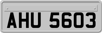 AHU5603