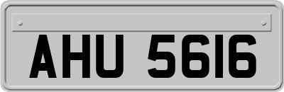 AHU5616
