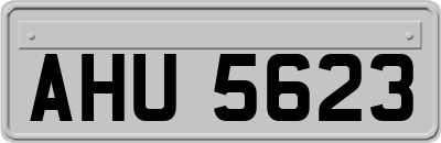 AHU5623