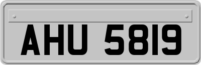 AHU5819