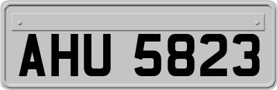 AHU5823