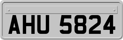 AHU5824