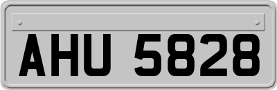 AHU5828