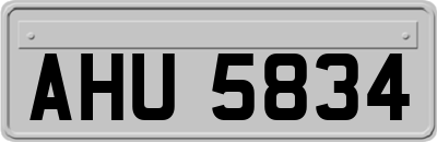 AHU5834