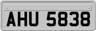 AHU5838