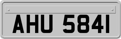 AHU5841