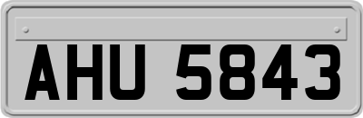 AHU5843